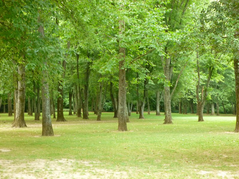 Mystery Run July 2013 050